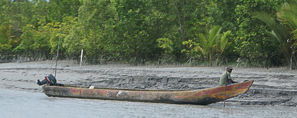 Mimika Coastal Management Plan