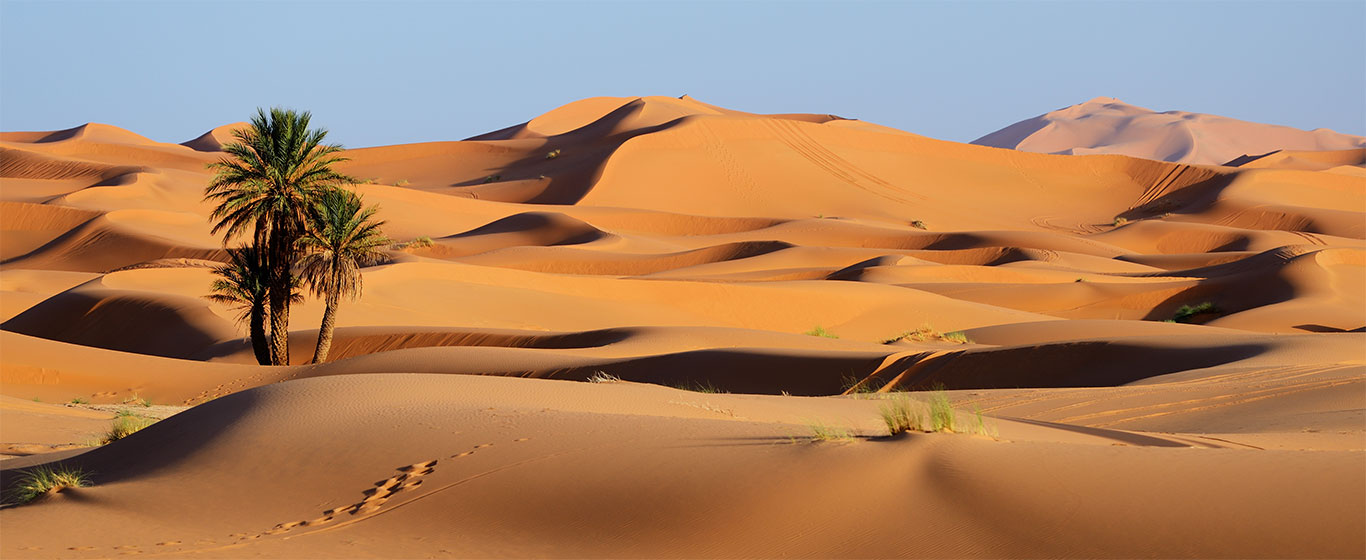 Dhurma and Al Muzahmiya Local Plans and Urban Code